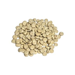 TERMESS (LUPIN) - ترمس